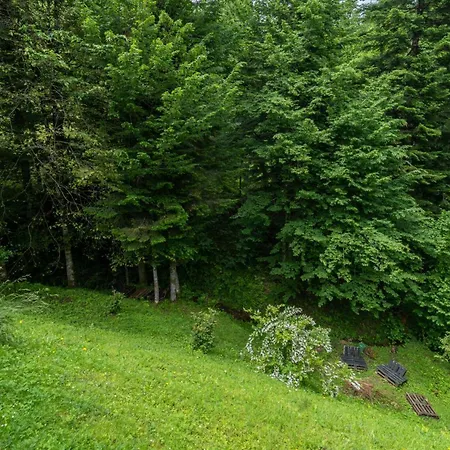 Сasa de vacaciones House Kajfes Brod na Kupi